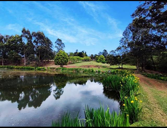 FARM FOR SALE IN PIETERMARITZBURG RURAL